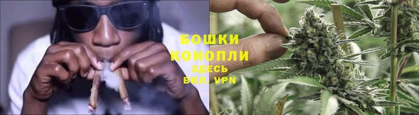 спайс Касимов