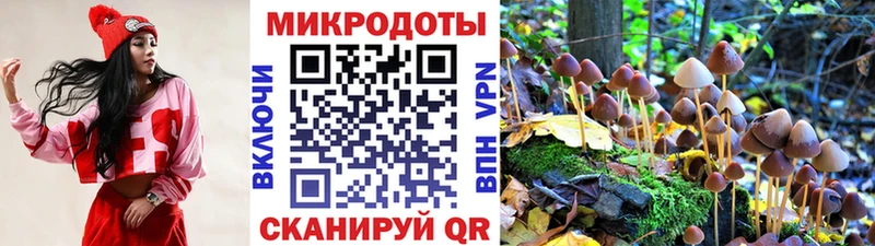 ОМГ ОМГ ONION  Обнинск  Псилоцибиновые грибы Psilocybine cubensis 